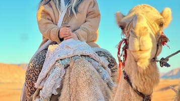 Kamar, 1 kamar tidur, akses difabel, Boleh Merokok | Lain-lain