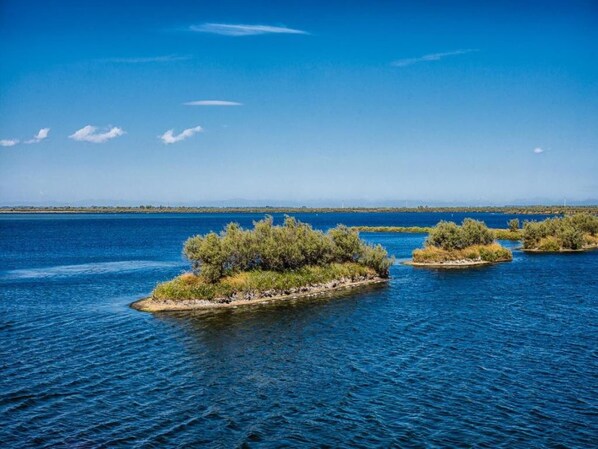 Una masa de agua tranquila con varias islas pequeñas cubiertas de vegetación.