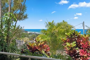 Property grounds - Seculded Beach Pad overlooking the beautiful Solitary Islands (Sapphire Beach)