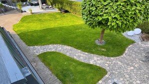 A well-maintained garden with a paved pathway, a neatly trimmed lawn, and a tree.