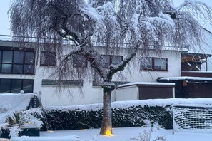 A snow-covered tree in front of a building with windows and a fence.