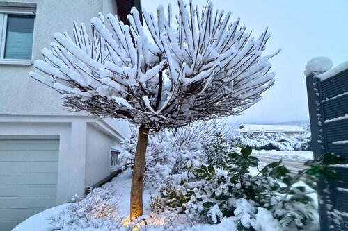 Ferienhaus in Bestwig mit Skiaufbewahrung