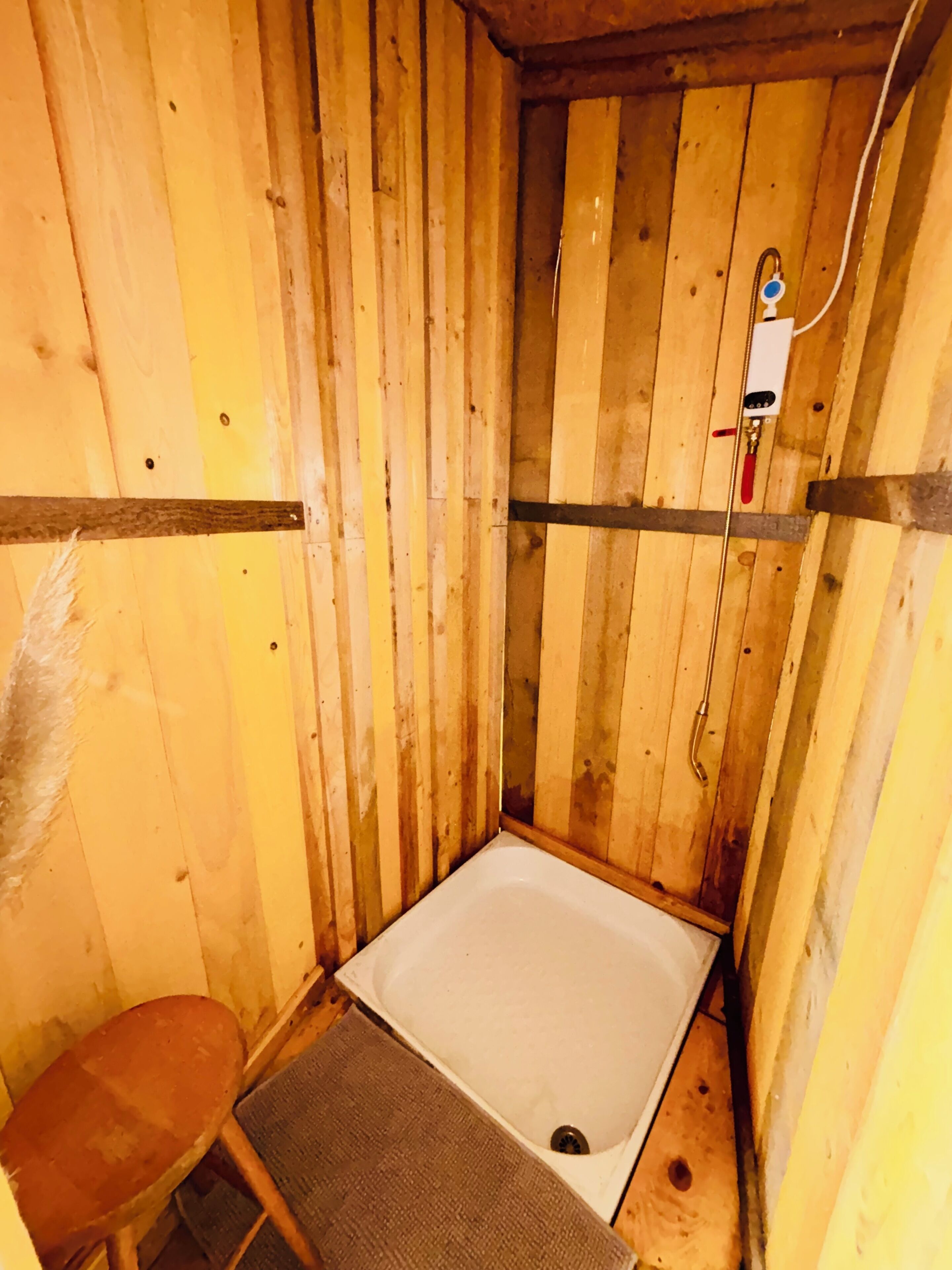 Shower, towels, toilet paper