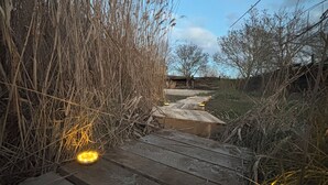 A wooden pathway leading through tall grass with lights on either side. - Nordic Experience: Sauna & Cold Bath in the Camargue (Arles)