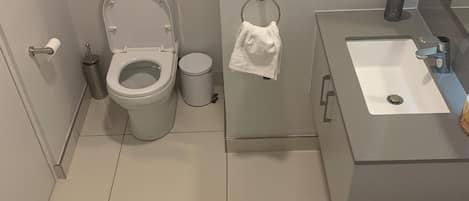 Douche, séchoir à cheveux, serviettes fournies, papier de toilette