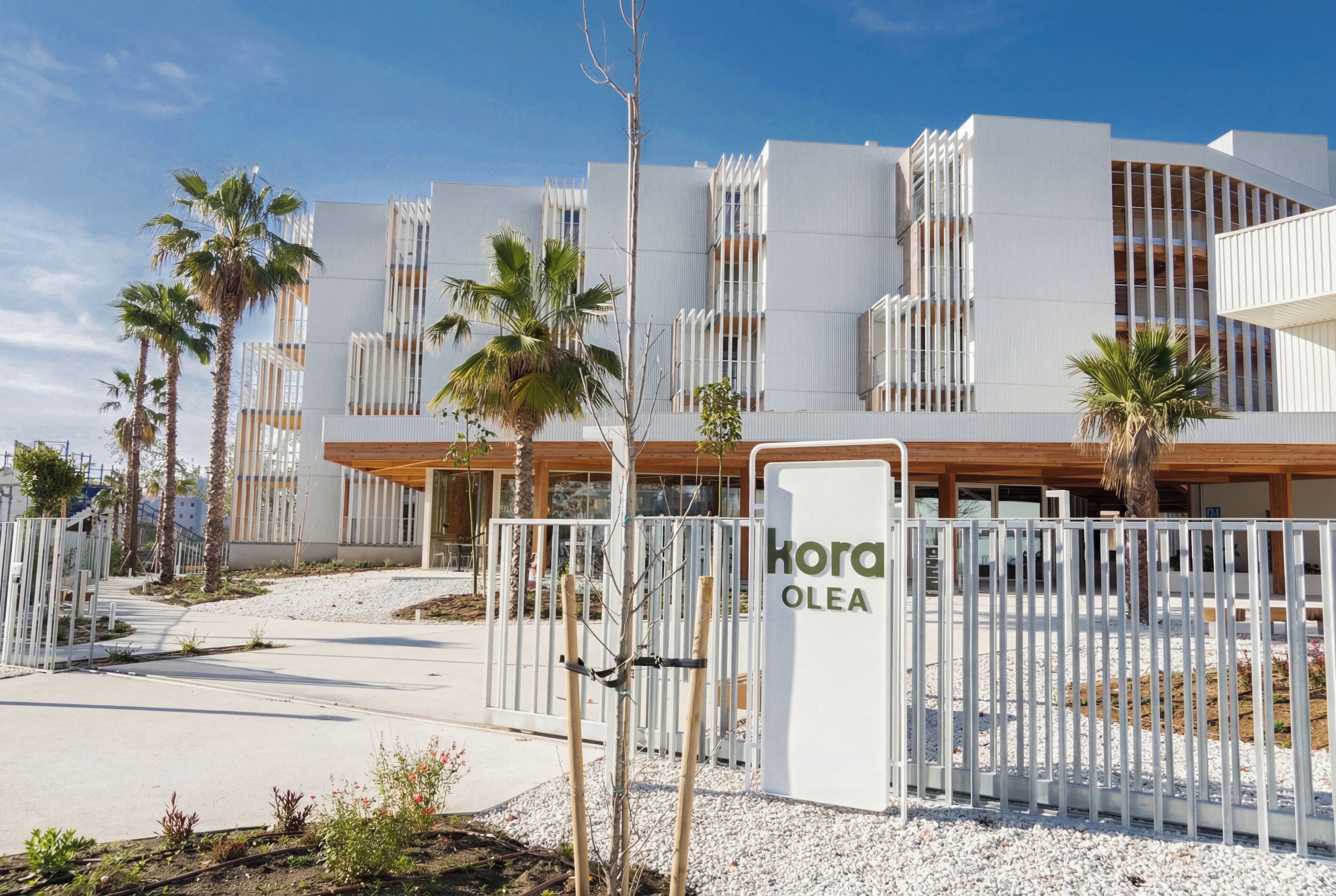 Een modern gebouw met een witte gevel, palmbomen en een bord met de tekst 'kora OLEA'.