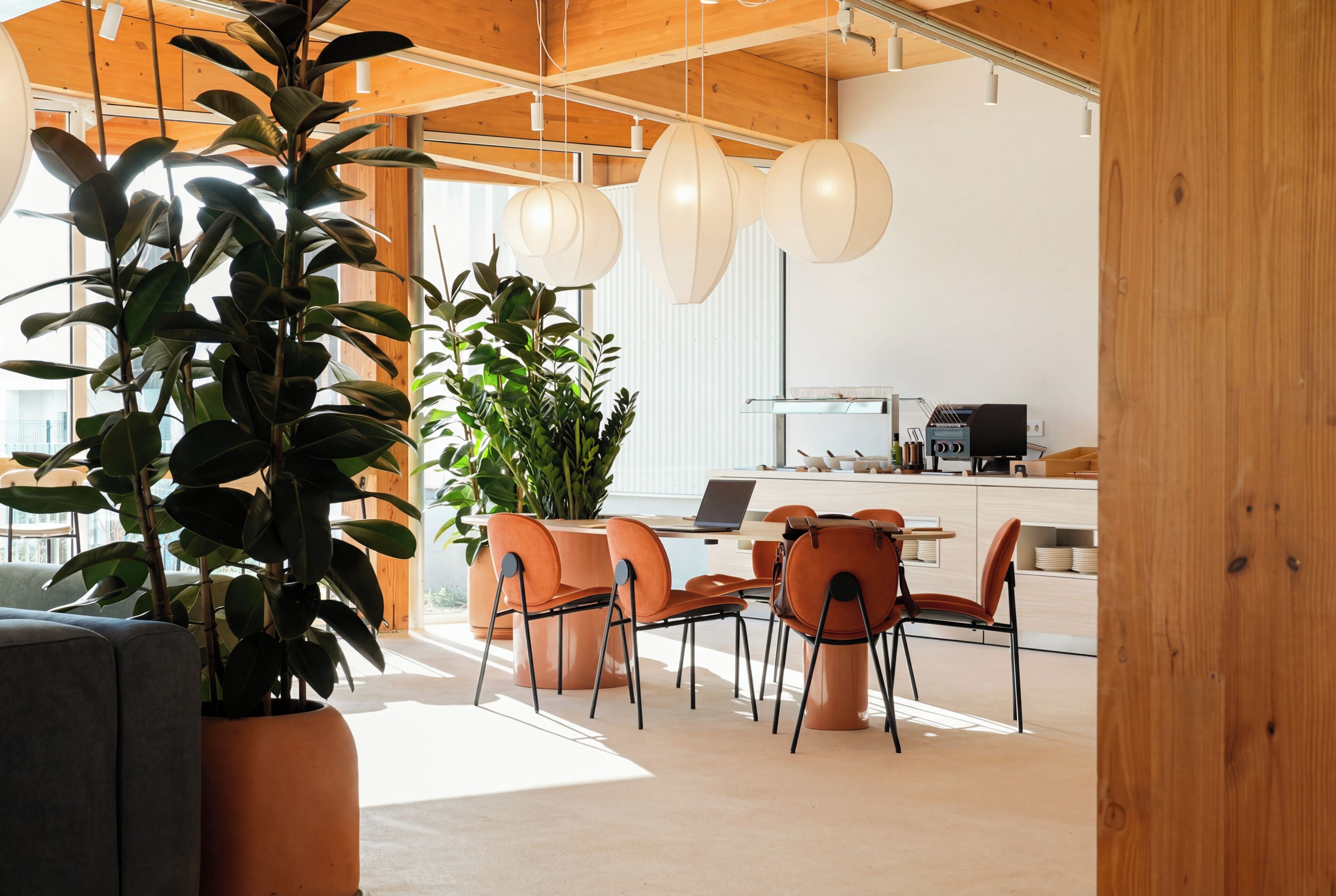 A modern kitchen with a laptop, a coffee machine, and a large potted plant.