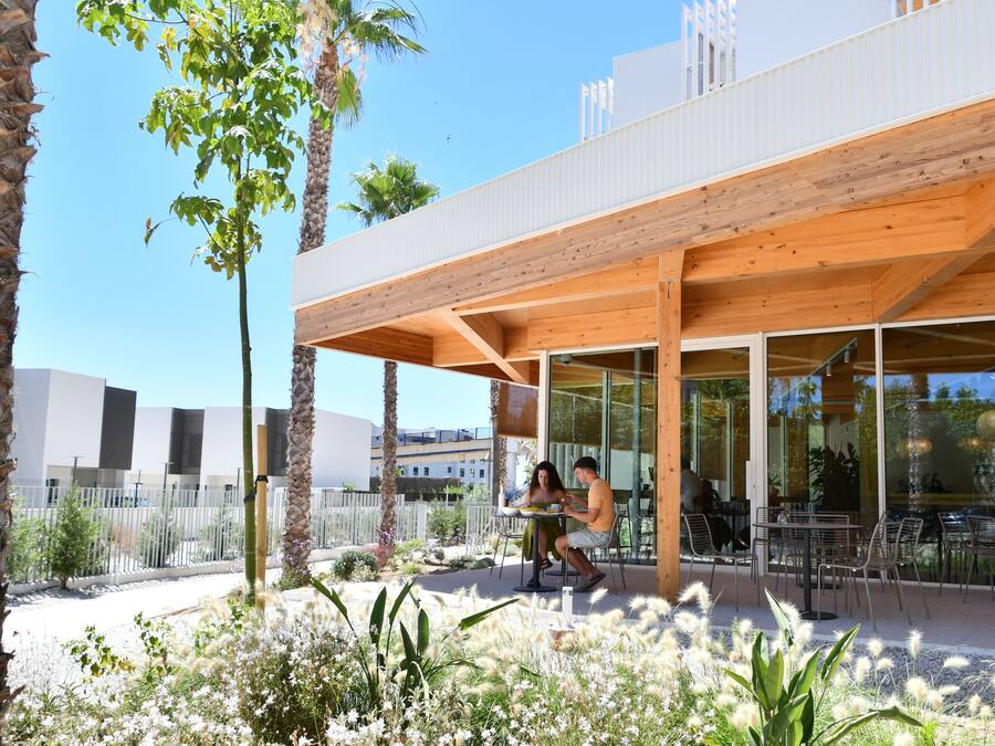 An outdoor seating area with tables and chairs, surrounded by plants and palm trees.