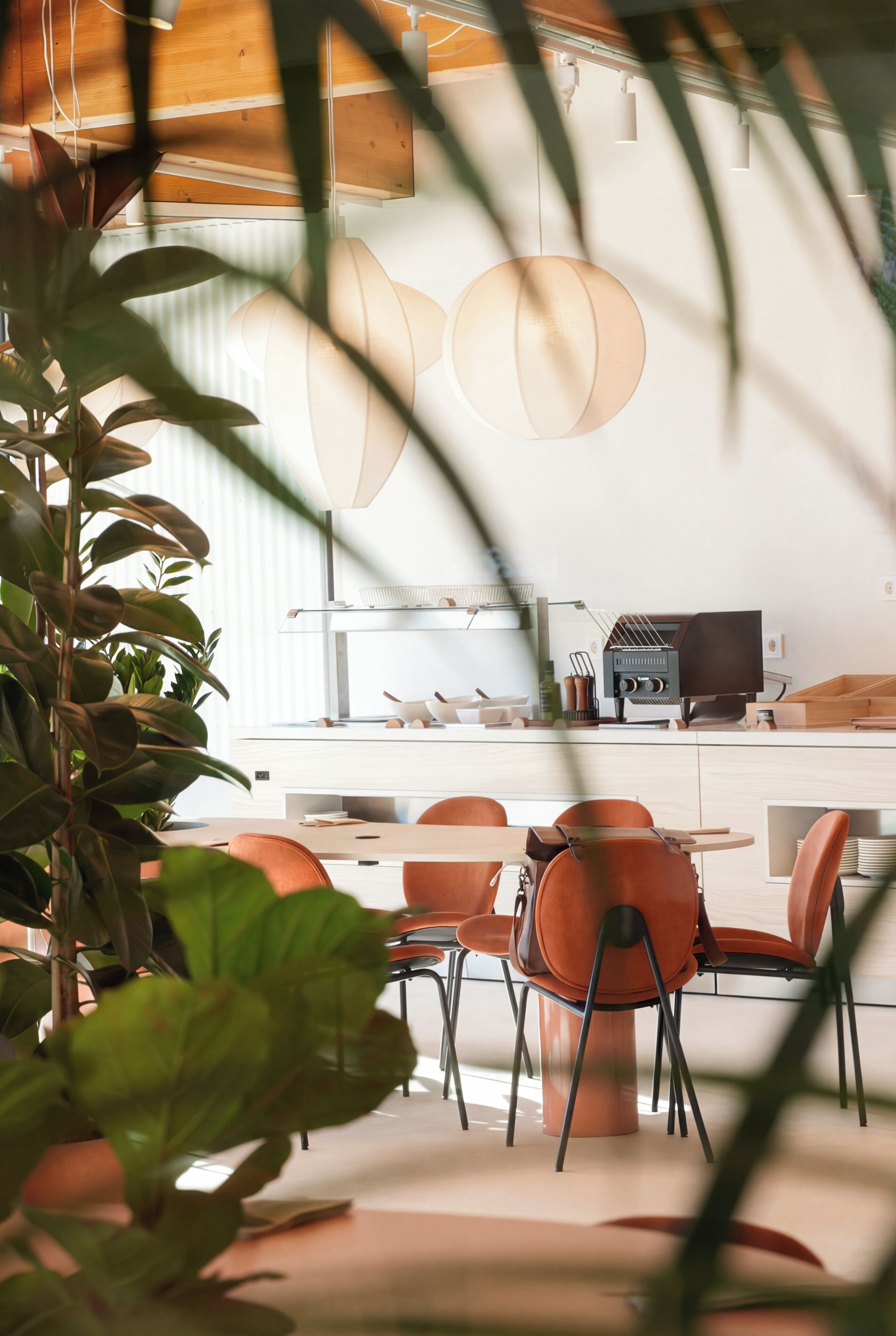 A modern kitchen with a dining area, featuring a large plant, pendant lights, and a flat-screen TV.