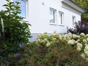 Detall de l'exterior