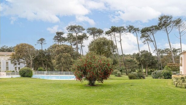Ein gepflegter Rasen mit einem kleinen Baum und einem Pool im Hintergrund.