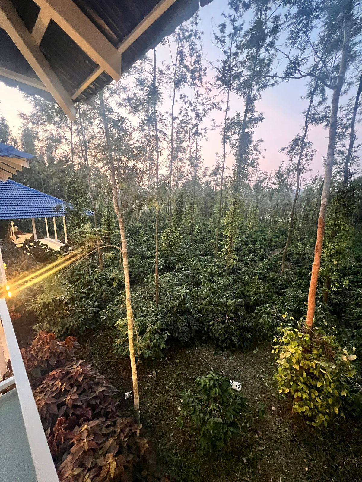 Áreas de la propiedad