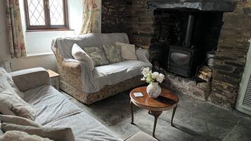 Smart TV, fireplace, DVD player, books