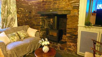 Smart TV, fireplace, DVD player, books