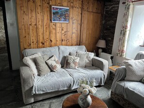 Smart TV, fireplace, DVD player, books