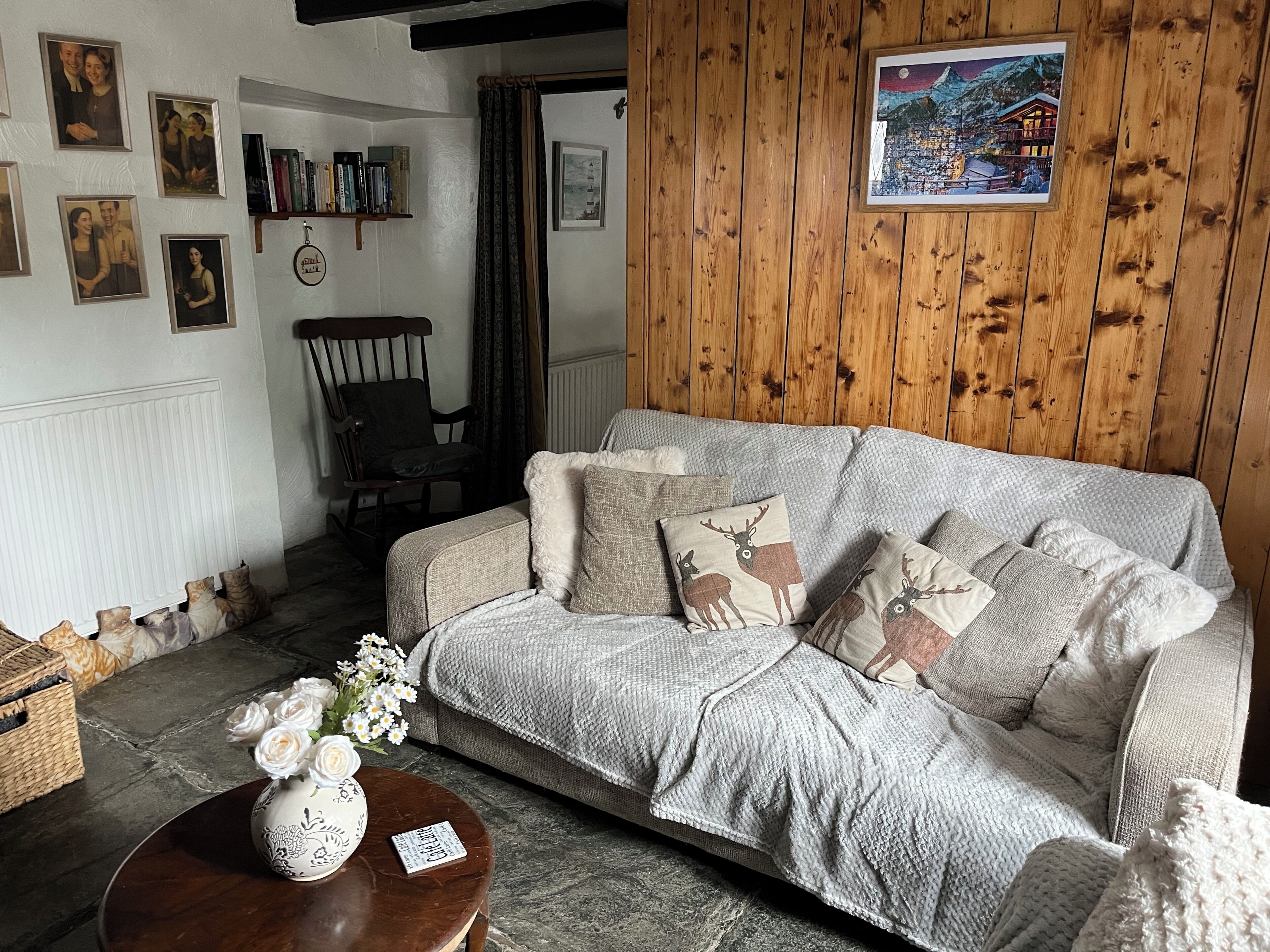 Smart TV, fireplace, DVD player, books