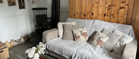 TV connectée, cheminée, lecteur de DVD, livres