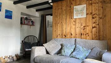 Smart-tv, een open haard, een dvd-speler en boeken