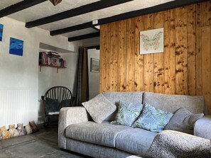 Smart-TV, peis, DVD-spiller og bøker