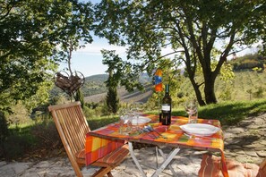 A table set outdoors with a bottle of wine, glasses, and a flag. - In the nature park: panoramic views, garden, terraces, fireplace, modern design, no pets, quiet (Arcevia)