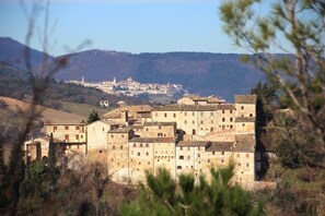 Exterior - In the nature park: panorama, garden, terraces, fireplace, design, pet-free, quiet location (Arcevia)