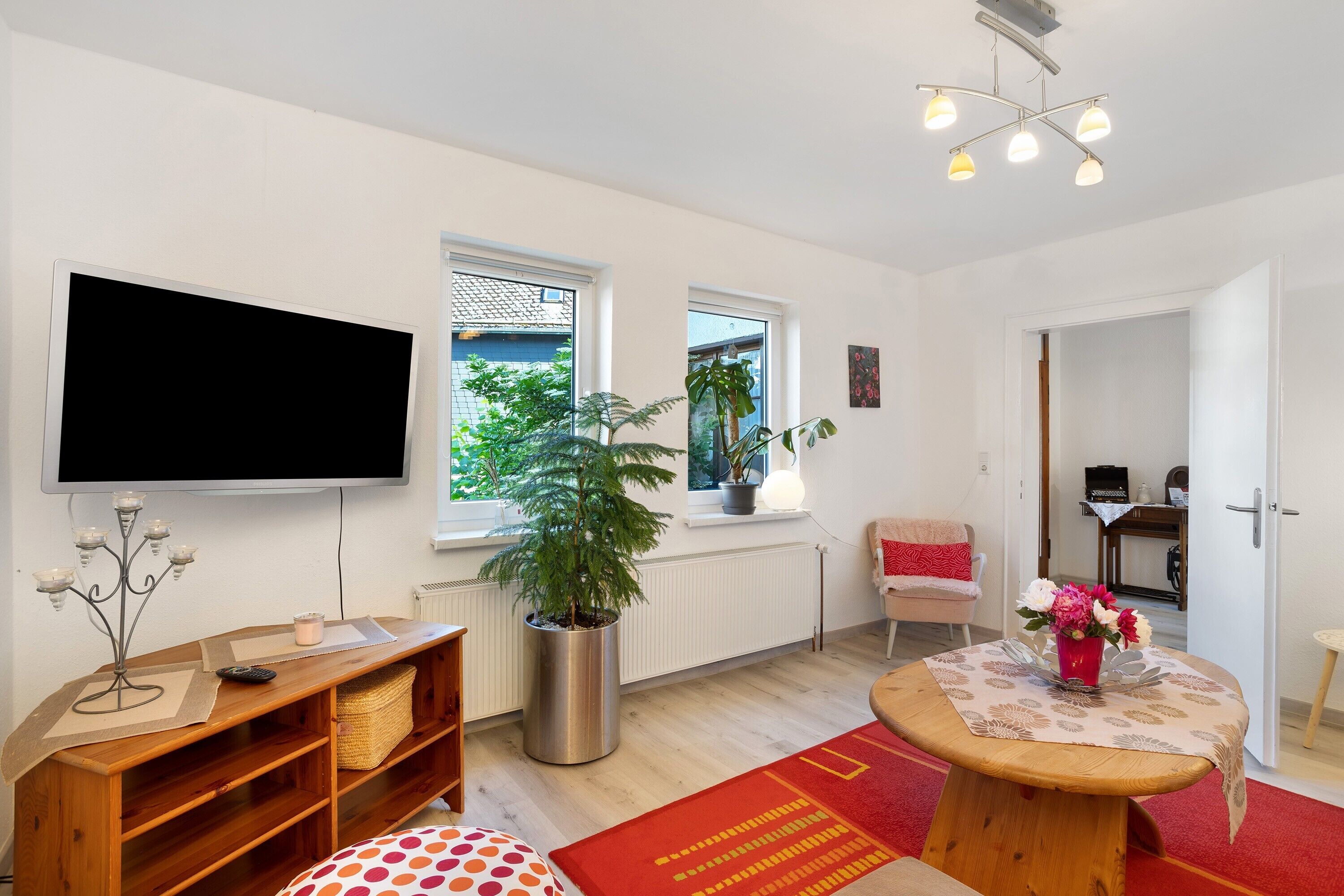 Fernseher