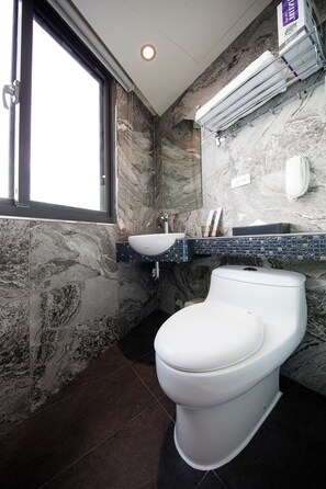 Ducha, cabezal de ducha tipo lluvia, secador de pelo, toallas