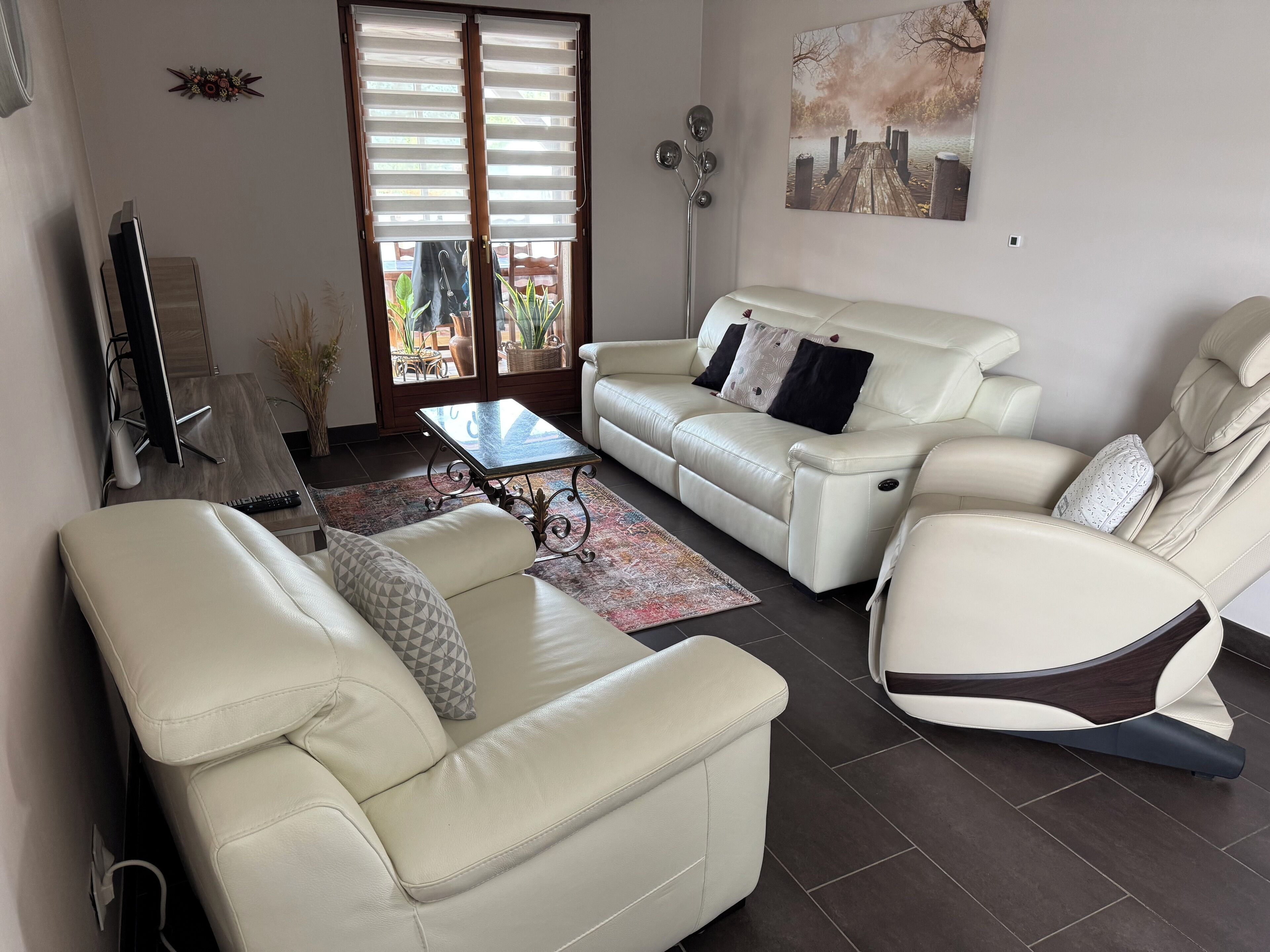 TV connectée, cheminée, lecteur de DVD, livres