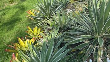 Biệt thự, 6 phòng ngủ, phù hợp cho người khuyết tật, hút thuốc | Khuôn viên nơi lưu trú