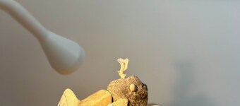 Double Queen Deluxe_01