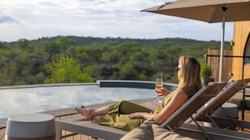 Outdoor pool, pool umbrellas, pool loungers