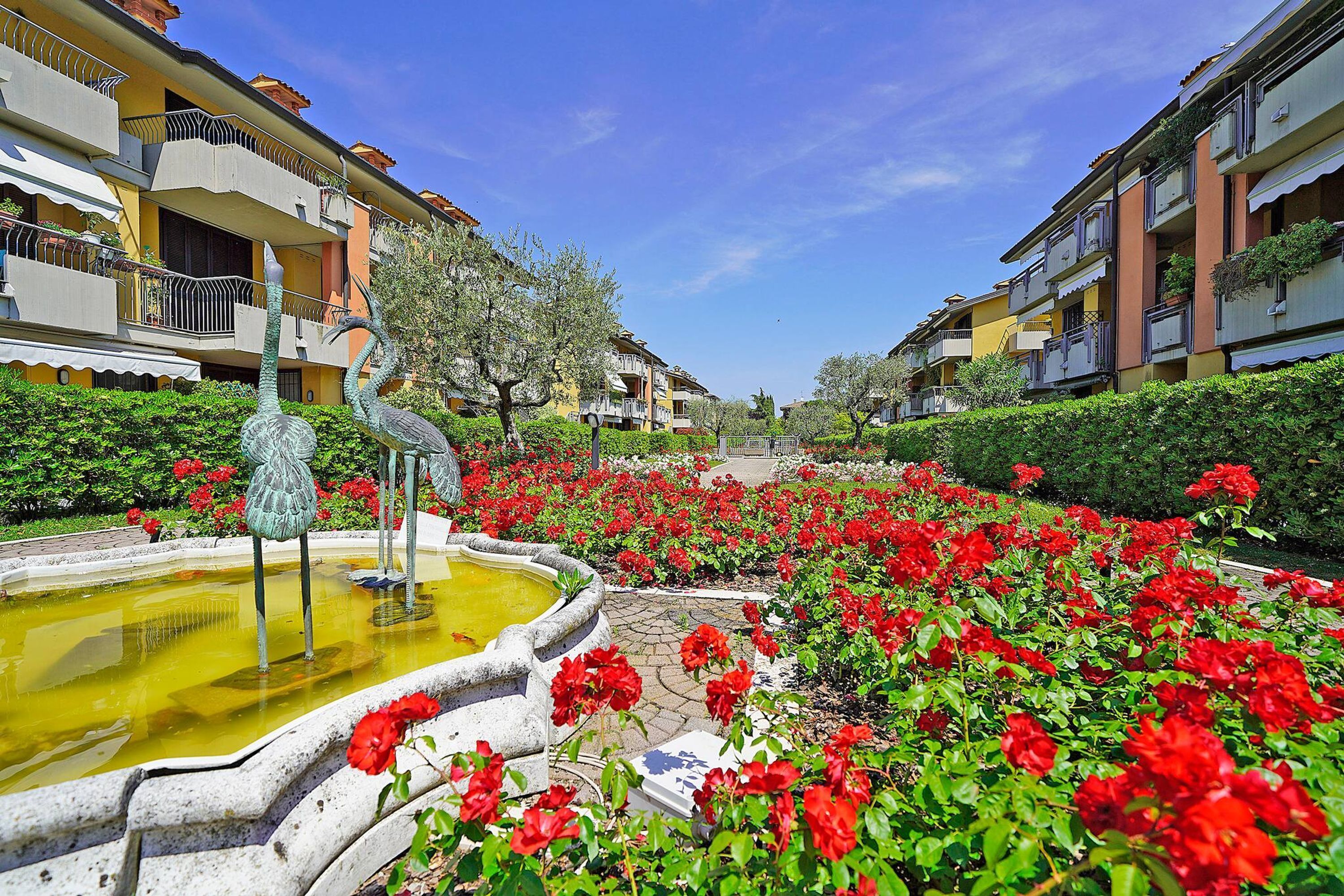 Un patio con una fuente, flores rojas y edificios de varios pisos con balcones.