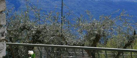 A table set outdoors with a mountain view, a lamp, and a railing.