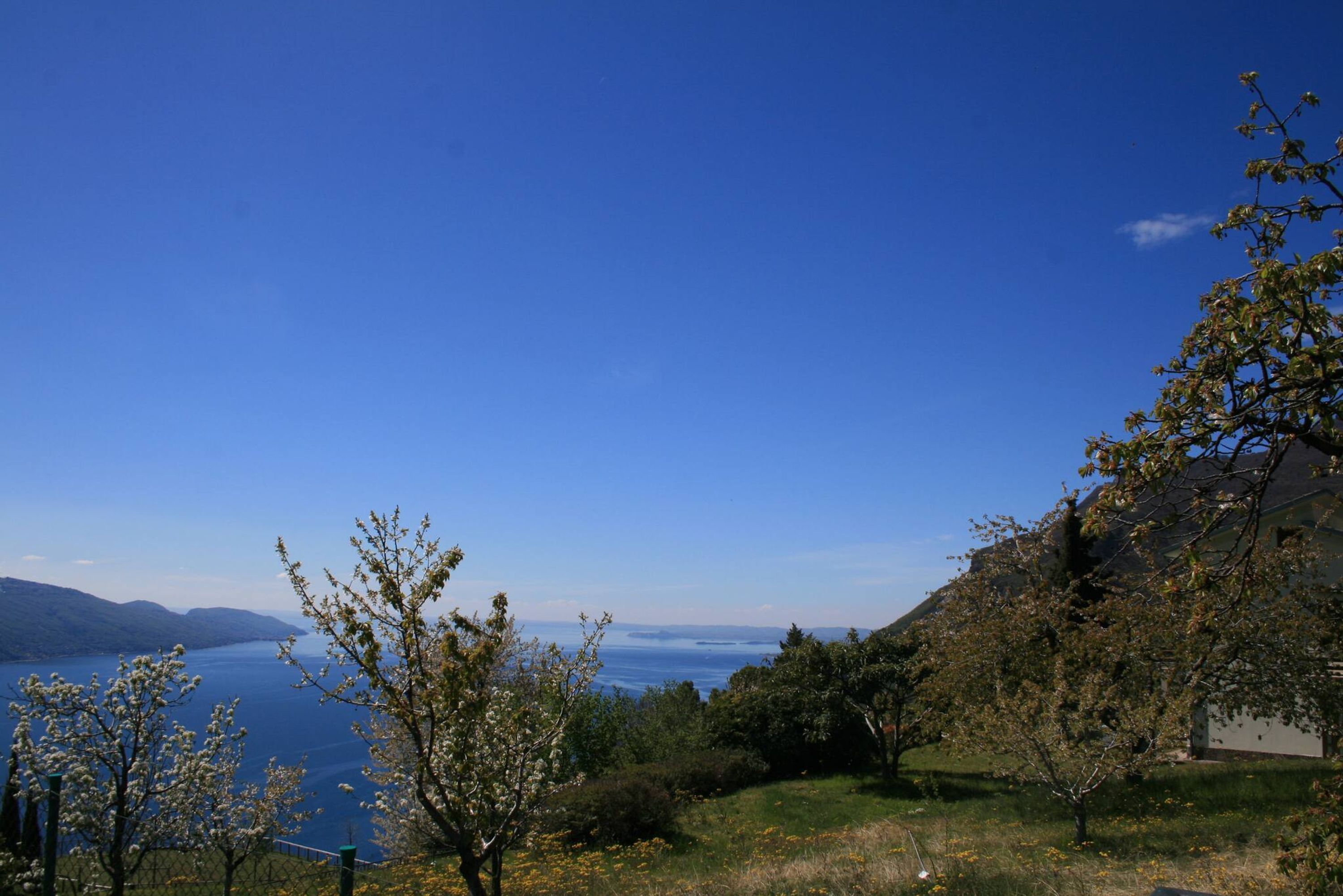 Vista panorámica de un lago con cielo despejado, rodeado de árboles y un edificio.