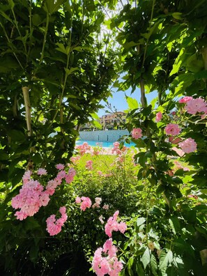 A garden with pink flowers and a pool in the background. - Borgo del Torchio in Manerba del Garda (Manerba del Garda)