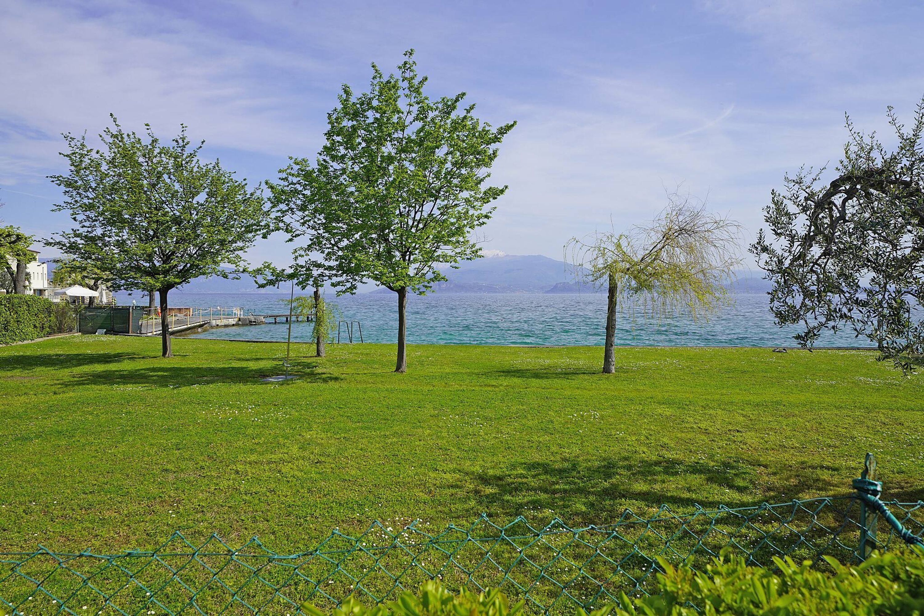 Uma área ajardinada com árvores e vista para um lago.