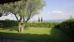 Un jardín bien cuidado con un árbol grande y setos podados.