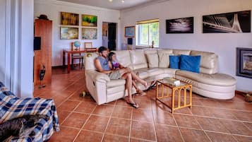 Una televisión, una chimenea