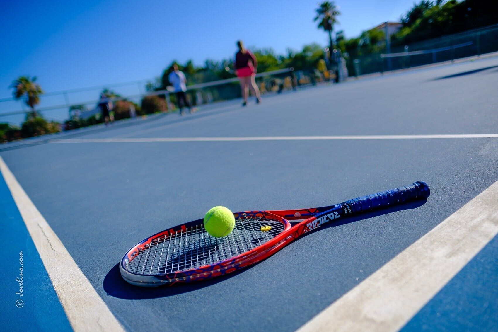 Una cancha de tenis con raqueta y pelota, palmeras y cielo despejado.