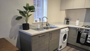 Une cuisine moderne dotée d’un lave-vaisselle encastré, d’un évier avec un égouttoir et d’une plante en pot.