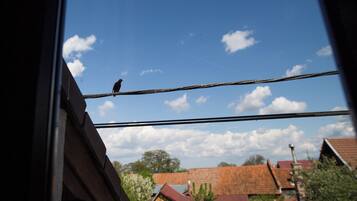 Utsikt från boendet