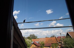 View from property - Casa Mosului triple room 2 (Cartisoara)