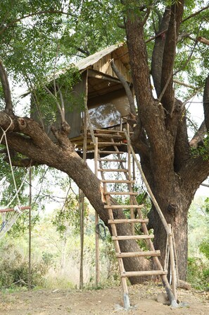 Property grounds - Junglee Bagicha Agro Tourism (Kelapur)