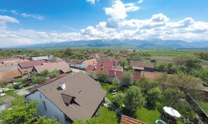 Aerial view - Casa Mosului double room mountain view 2 (Cârțișoara)