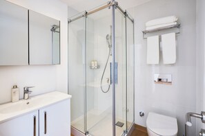 Un baño moderno con ducha envuelta en vidrio, un lavamanos blanco y un inodoro.