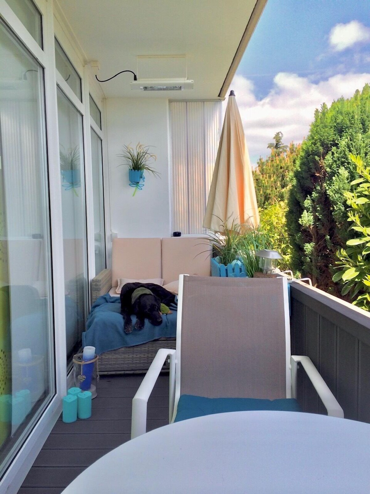 Image de profil de l’hôte