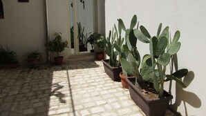 A courtyard with potted cacti and a door with a mirror. - The Red Room Courtyard (Scicli)
