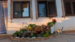 A building with three windows, a flower bed, and a cat. - Monterotondo Holiday Home for 6 - with Pool, Nature and Close to the Beach (Sciacca)