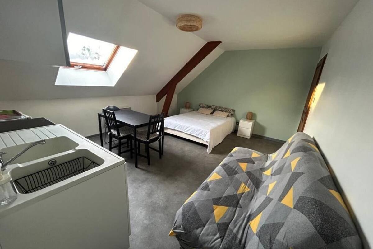 A compact room with a bed, a desk with a chair, a small kitchenette, and a skylight.