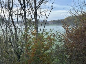 Miscellaneous - Les Bords de la Lizaine (Hericourt)